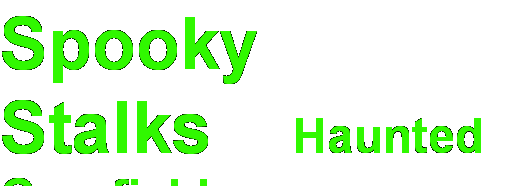 Spooky Stalks Haunted Cornfield Milwaukee Wisconsin Home